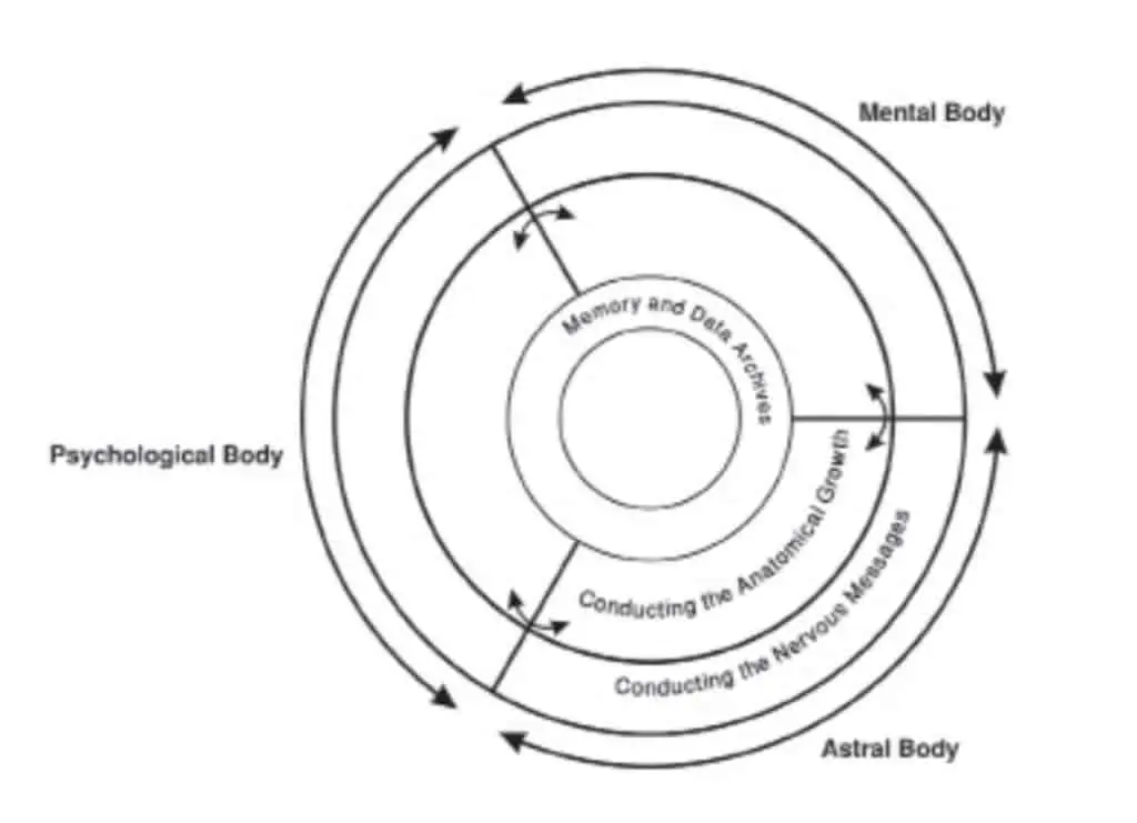 Astral Body