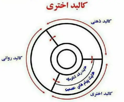 کالبد اختری
